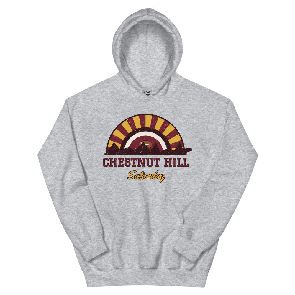 Chestnut Hill Saturday Hoodie in sport grey, front