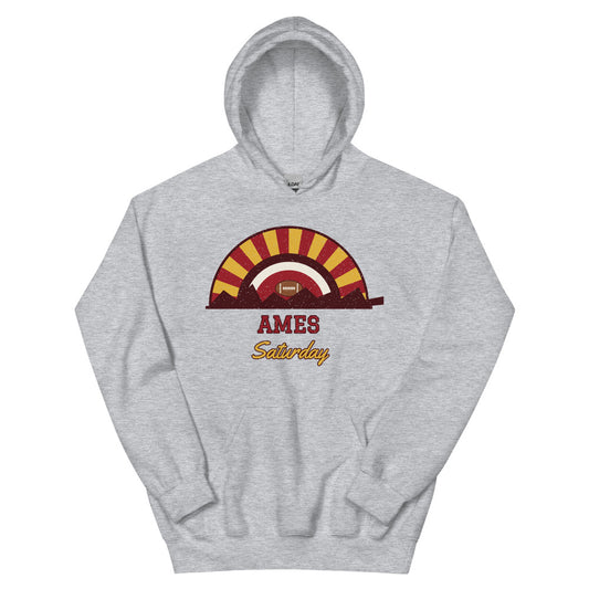 Ames Saturday Hoodie in sport grey, front