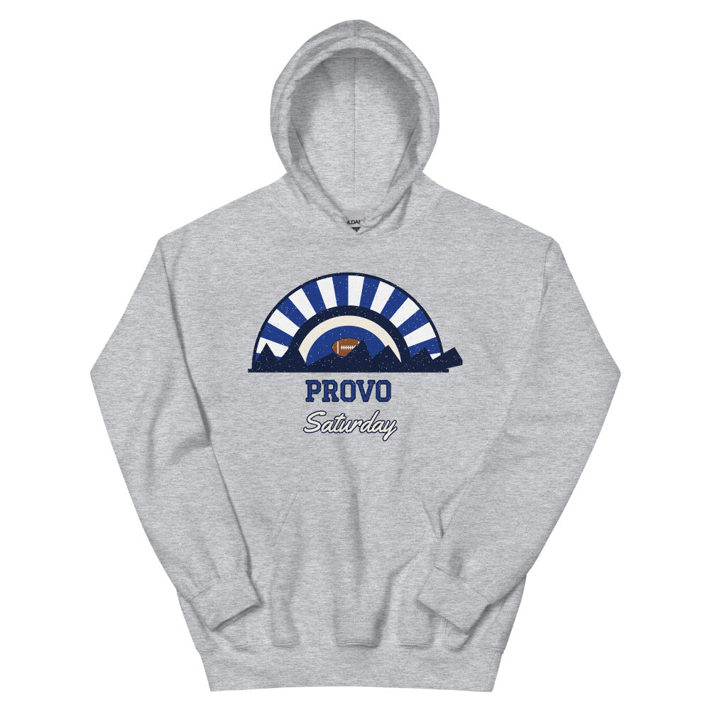 Provo Saturday Hoodie in sport grey, front