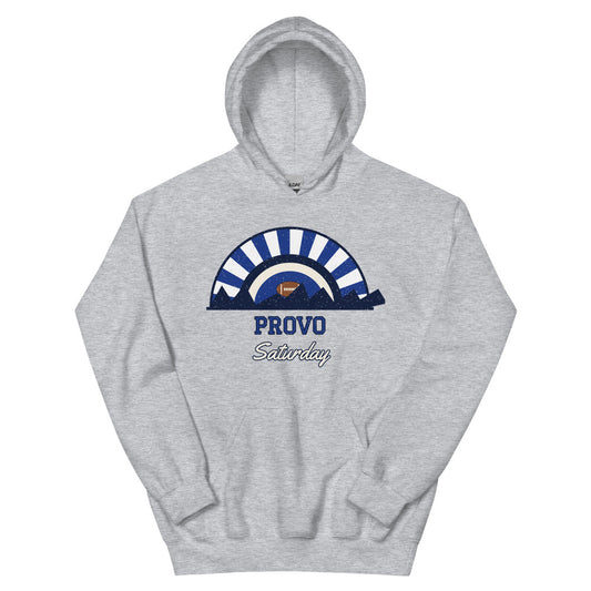 Provo Saturday Hoodie in sport grey, front