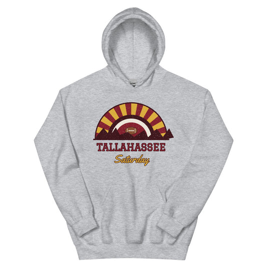 Tallahassee Saturday Hoodie in sport grey, front
